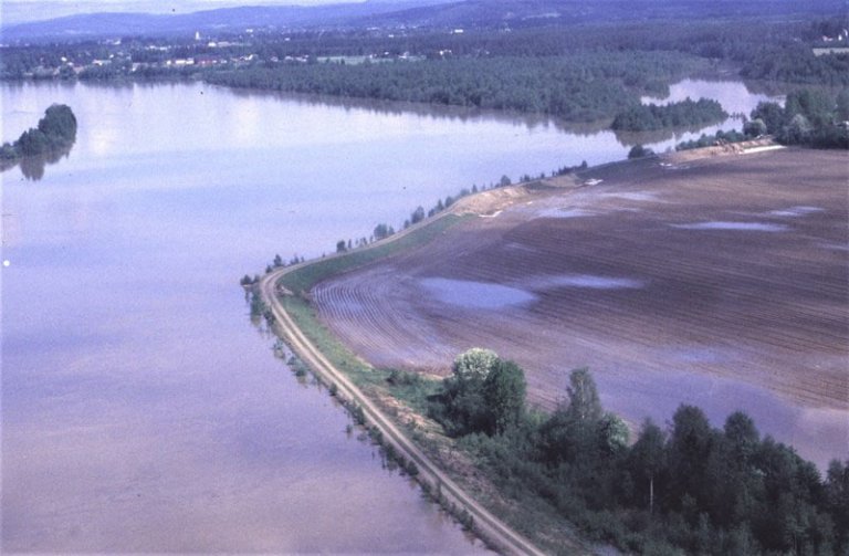 Flomvollens ved Kirkenær i Grue kommune under flommen i 1995. Foto: Bjørn Wold / NVE