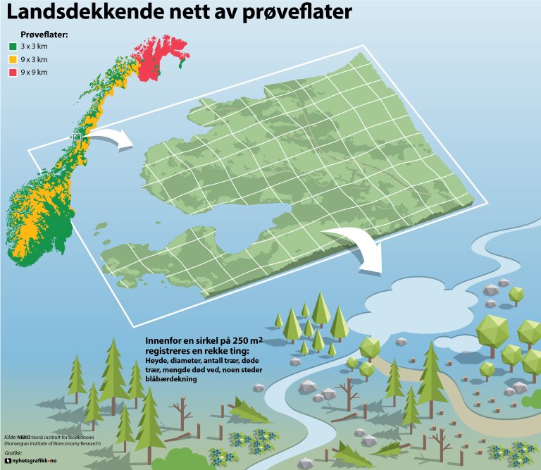 Landskogtaksering rutenett_skogbruk grønn.jpg