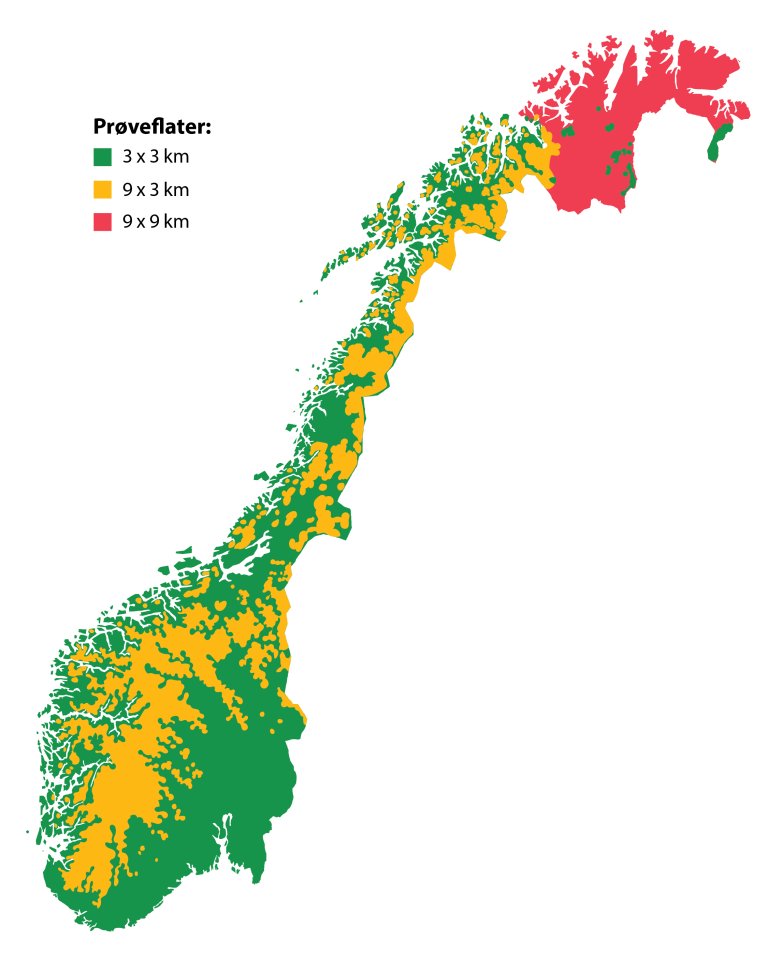 Landskogtaksering rutenett_skogbruk grønn - Rutenett Norge.jpg