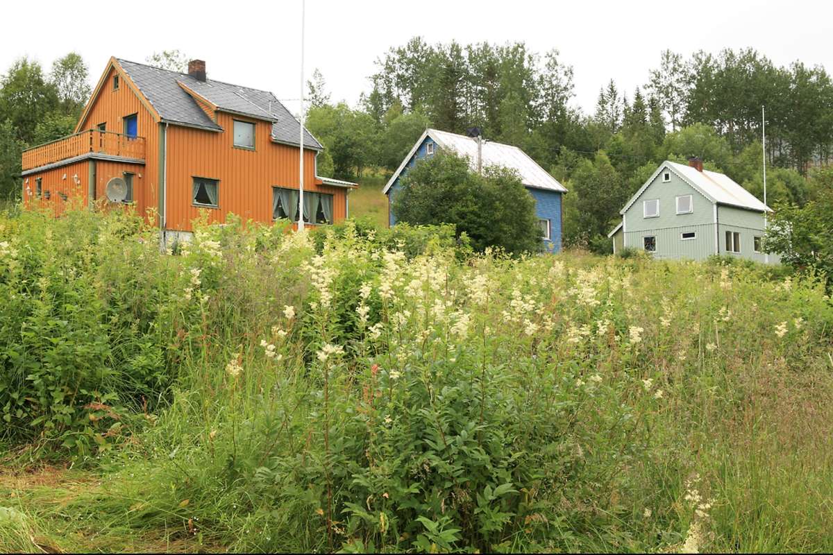 Kvarv i Sørfold_kommune_Nordland_Foto Oskar Puschmann