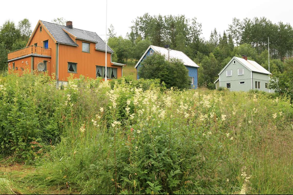 Kvarv i Sørfold_kommune_Nordland_Foto Oskar Puschmann