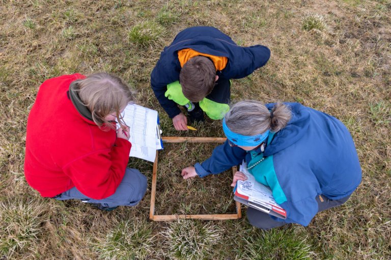 Sammenligning med feltmålinger, som for eksempel plantehøyde, bladareal og avling, bidrar til å kalibrere og validere resultater som er oppnådd fra satellittdata. Foto: Ingvild Melkersen, NLR