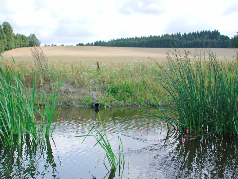 Plantevernmidler som brukes i jordbruket kan noen ganger lekke ut i vannmiljø i uønskede nivåer. Foto: Erling Fløistad