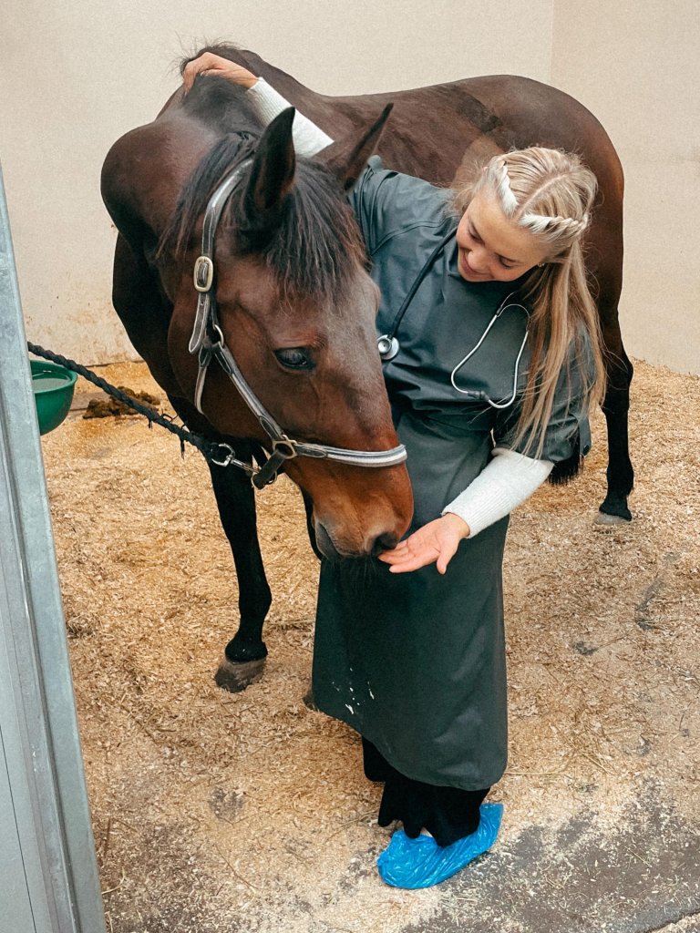 Veterinærer, travtrenere, rideinstruktører og hovslagere er bare noen av yrkesgruppene som er knyttet opp mot hestehold. Hvilken betydning dette har for samfunnsøkonomien, er det altså ingen som vet. Foto: Ada Grinaker