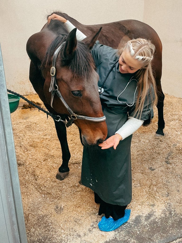 Veterinærer, travtrenere, rideinstruktører og hovslagere er bare noen av yrkesgruppene som er knyttet opp mot hestehold. Hvilken betydning dette har for samfunnsøkonomien, er det altså ingen som vet. Foto:  Ada Grinaker