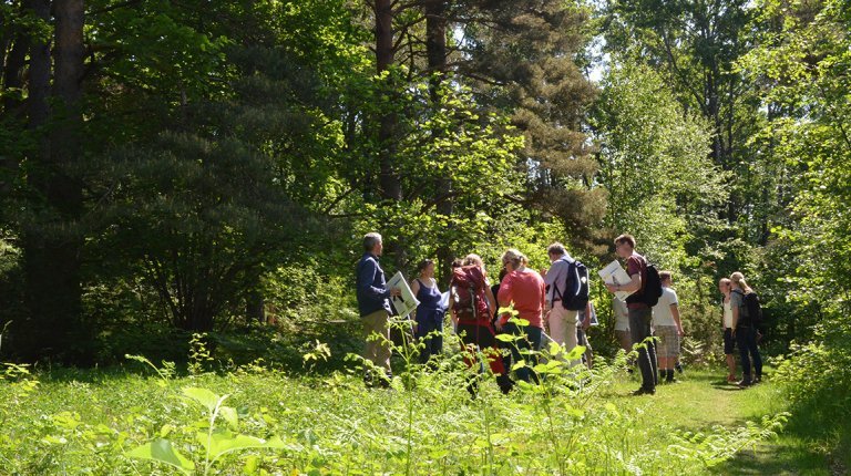 dsc_1530-feltbefaring-bøkilen-vegetasjon.jpg