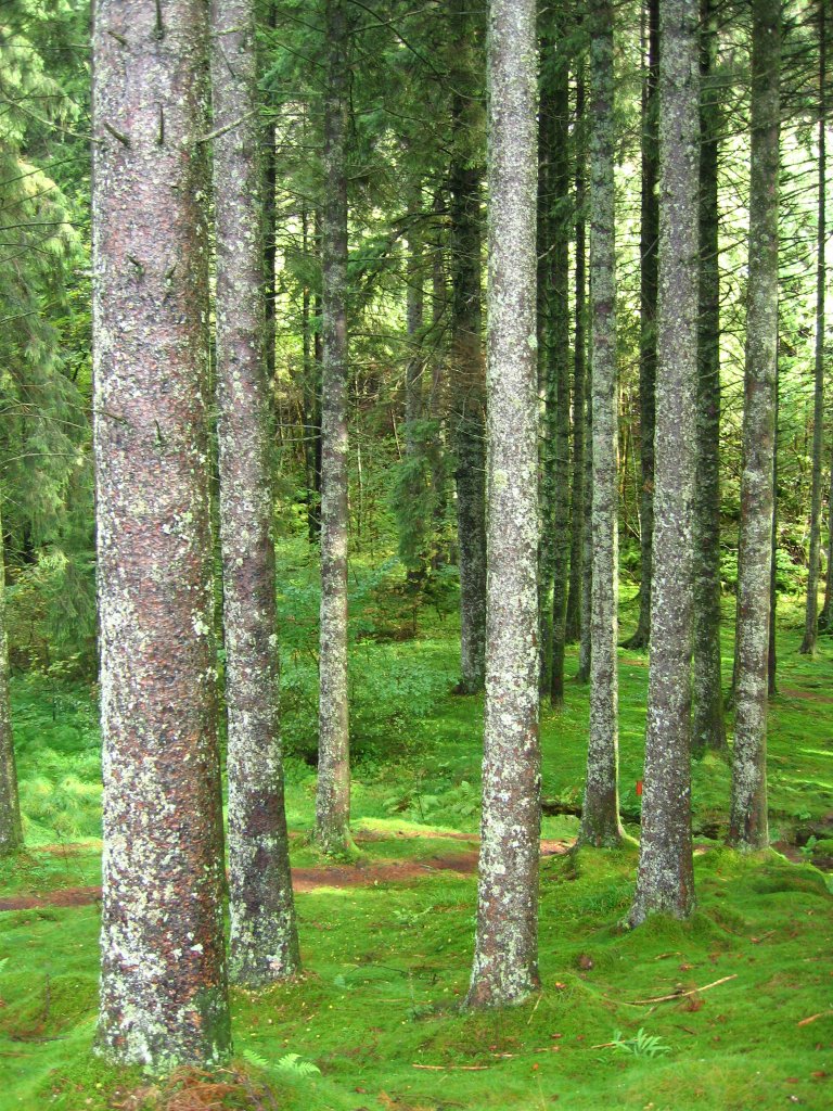 Sar-20050920-113437.jpg