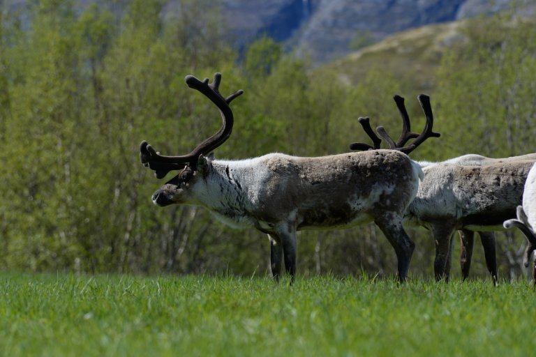 22.09.2014_167DSC_1693.JPG