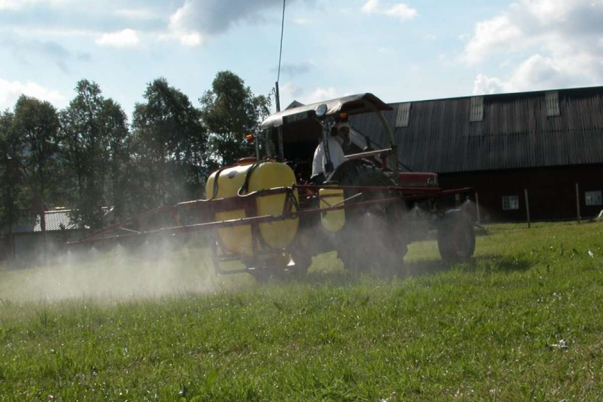 sprøyting graseng jon schärer