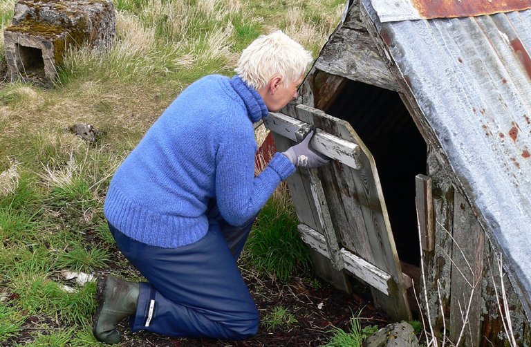 Fuglevokter-Hildegunn-Nordum.jpg