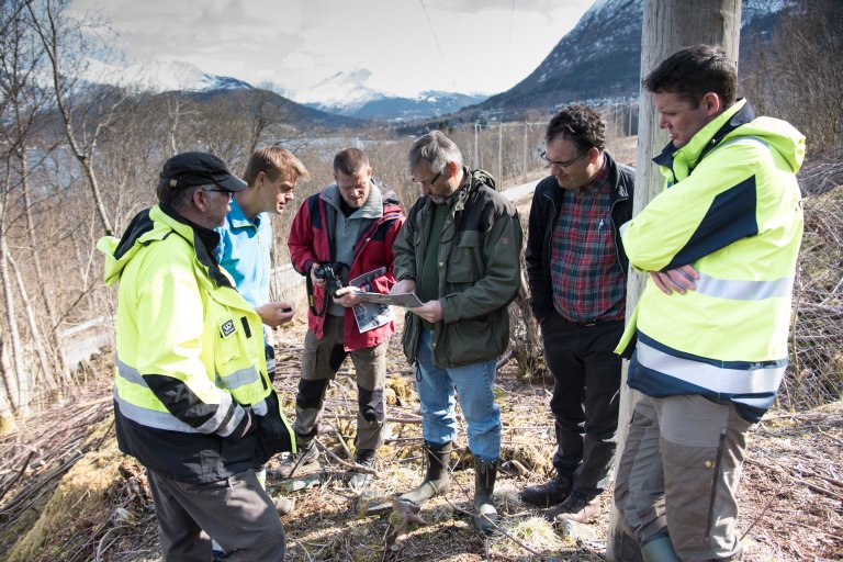 Sterkere skog prosjektet.jpg