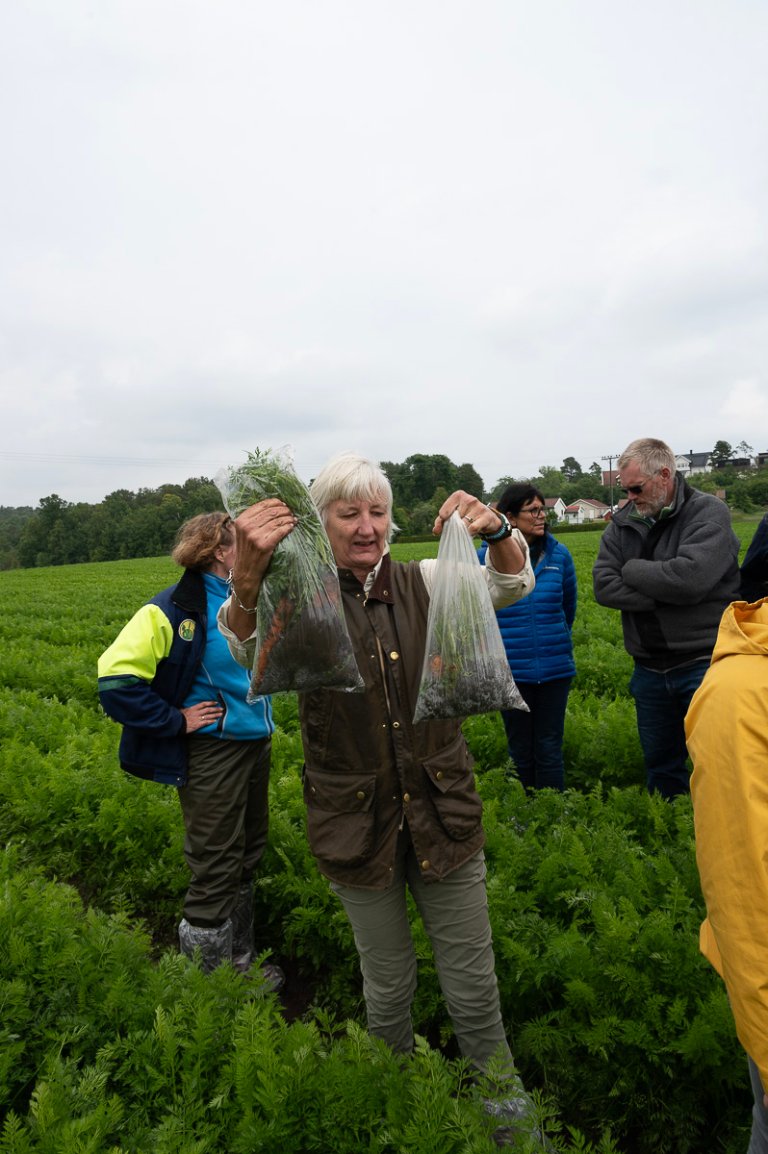 Rotgallnematoder ser ut til å være på frammarsj. Et mildere klima er med på å gjøre det mer gunstig for denne skadegjøreren, sier Solveig Haukeland, forsker ved NIBIO. Foto: Erling Fløistad