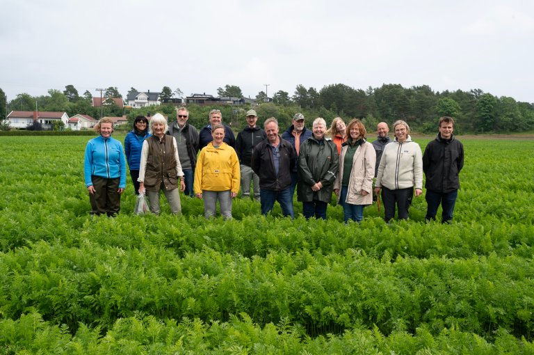 NIBIO leder ImpAct, et fireårig forskningsprosjekt, i samarbeid med Norsk Landbruksrådgivning (NLR) og flere næringspartnere for å samle informasjon og teste tiltak som kan redusere problemet med rotgallenematoder. Foto: Erling Fløistad