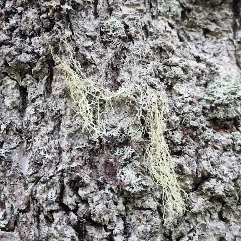 20220729_182521_cropped.jpg