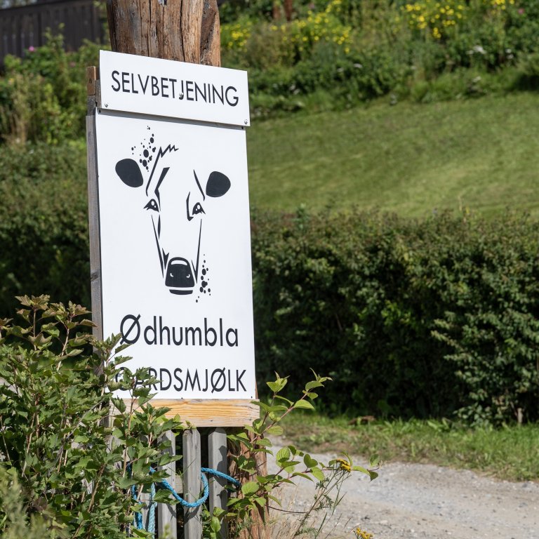  Foto: Lars Sandved Dalen, NIBIO 