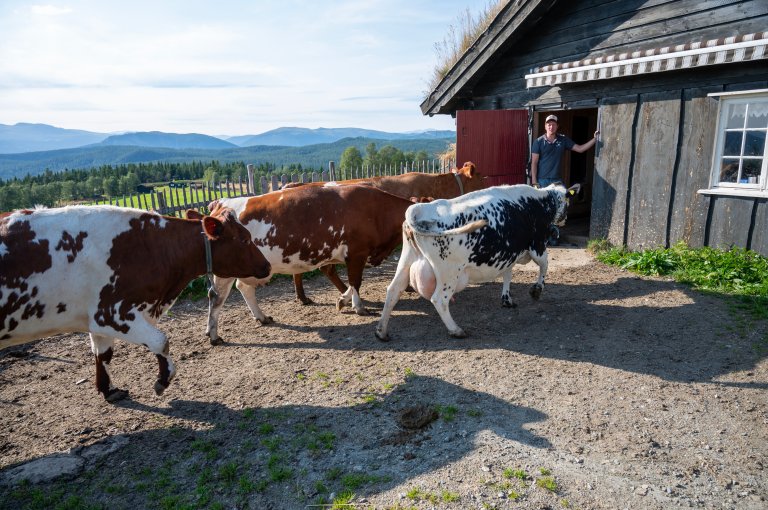 Foto: Lars Sandved Dalen, NIBIO