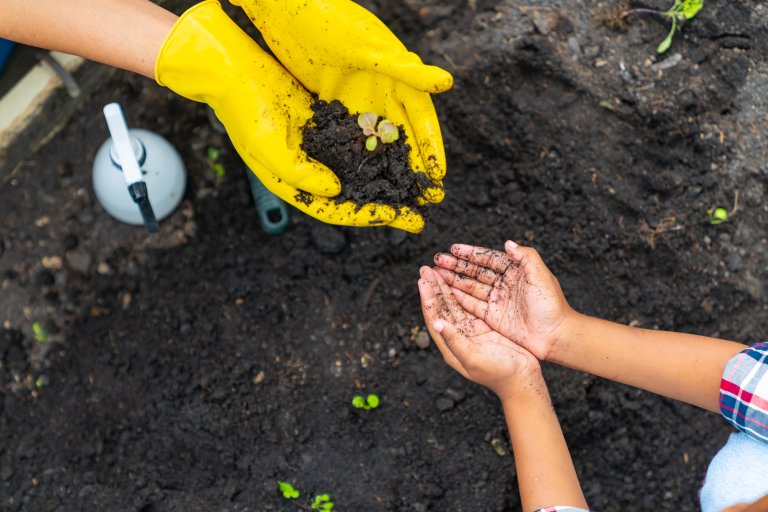 I prosjektet CURIOSOIL skal 14 partnerne fra en rekke europeiske land utvikle og produsere et omfattende undervisningsopplegg om jord og jordhelse for barnehager, skoler og universiteter. Illustrasjonsfoto: iStock