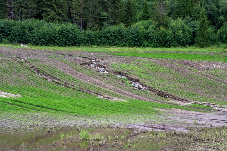 Forringelsen av jordsmonnet vårt forsterkes av befolkningsvekst og klimaendringer. Her ser vi erosjonsskader i en gulrotåker nord for Dokka etter ekstremværet Hans, 7.-9. august 2023. Foto: Erling Fløistad