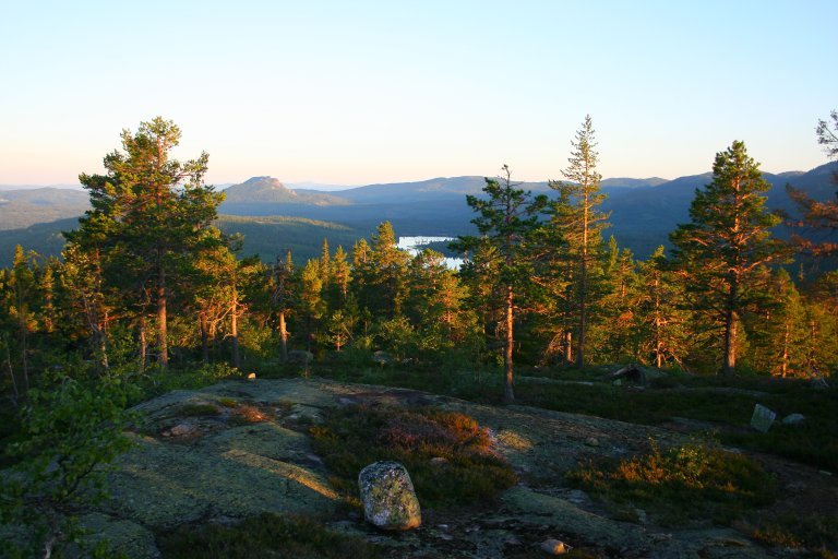 bilde 2 - utsikt fra heimseteråsen - foto jørund rolstad - nibio.jpg