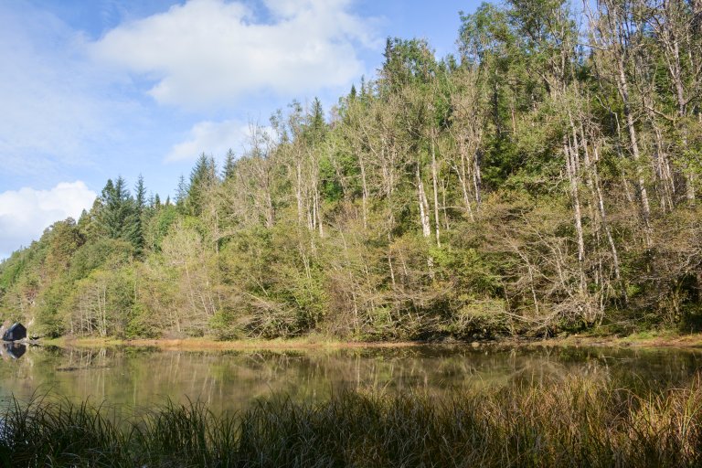 Storomsvågen2016c