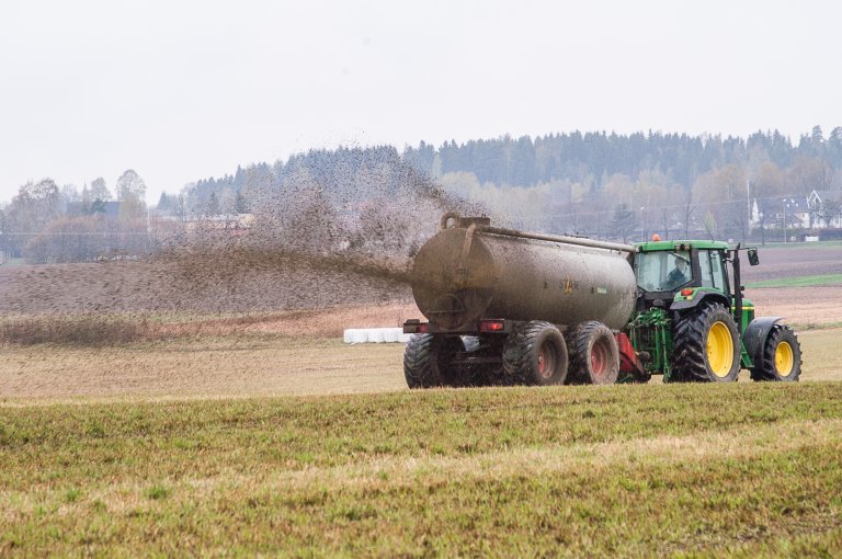 Spredning av husdyrgjødsel i vekstsesongen reduserer avrenningen og øker utnyttelsen av nitrogenet. Bedre utnyttelse av nitrogenet i husdyrgjødsel fører til mindre behov for tilførsel av nitrogen i mineralgjødsel. Foto: Erling Fløistad