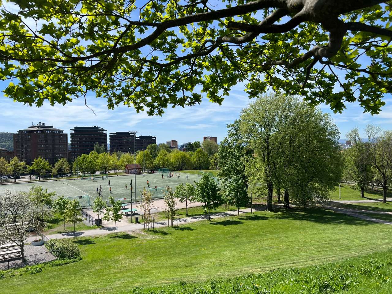Grøntstruktur_Oslo_KTG (7)