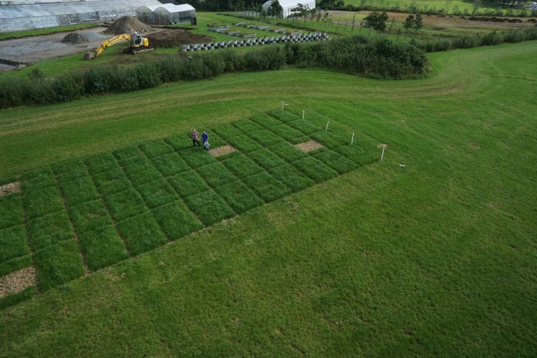 Overview_ryegrass_field_22082018_foto Maximillian Pircher