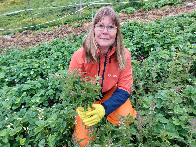 Eva Narten Høberg fra NIBIO Tjøtta deltar i år på "Forskerne kommer". Foto: NIBIO