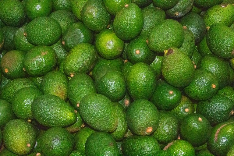 Kan spillvarme gjøre det mulig å dyrke avocado i drivhus her i landet? Foto: Morten Günther