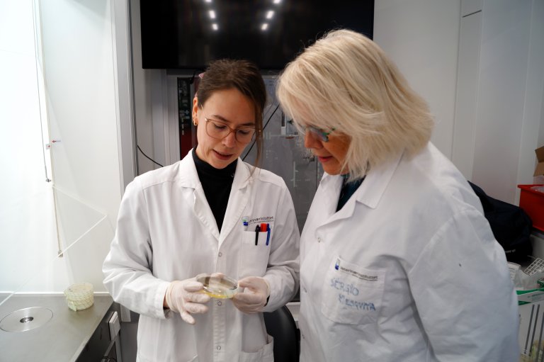 Seniorforskar Ida Skaar og masterstudenten hennar, Marte Mølmann Kåråsen, studerer resistensgraden i ulike isolat av A. fumigatus. Foto: Silje Kvist Simonsen