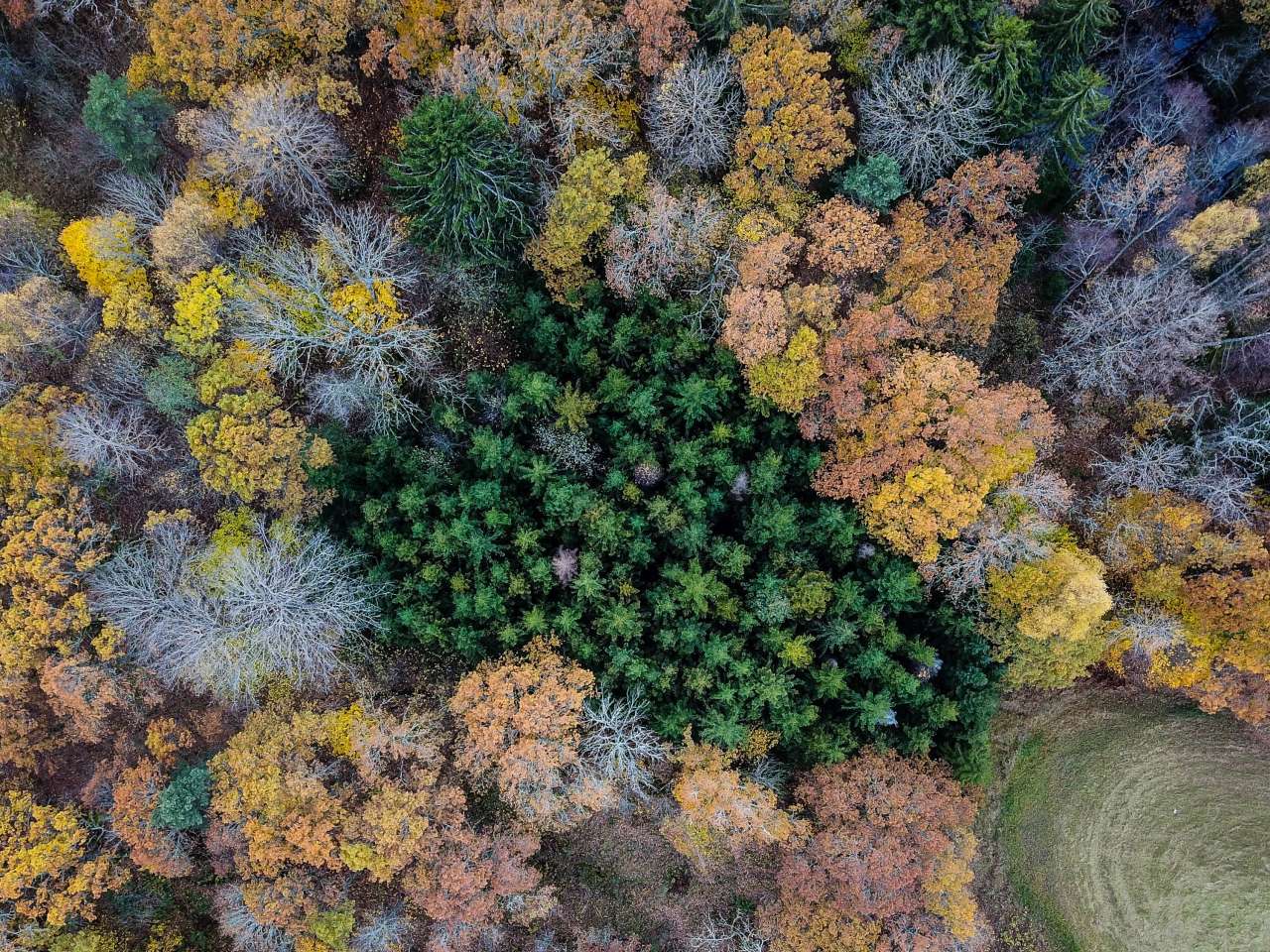 20171021-DJI_0098-2_Ragnar Våga Pedersen