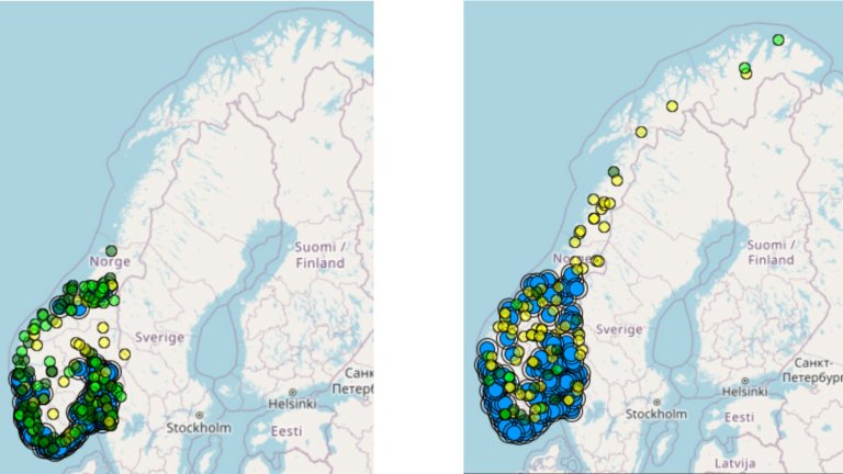 Antall registrerte observasjoner av stillits på artsobservasjoner.no i 2014 og 2024. Kilde: artsobservasjoner.no