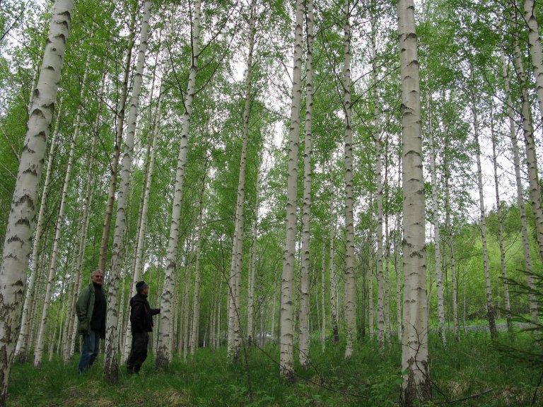 Sar-20120529-125133