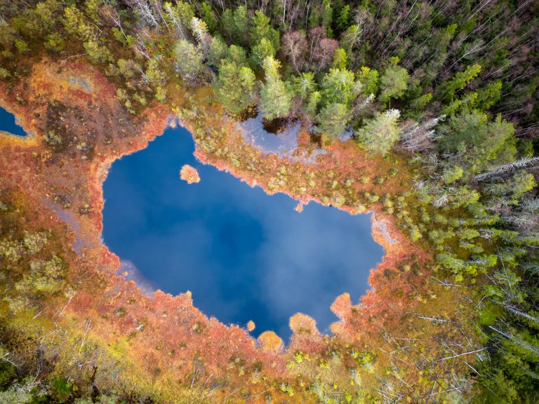 Myrområde i Frogn kommune sett frå fugleperspektiv. Foto: Ragnar Våga Pedersen, NIBIO