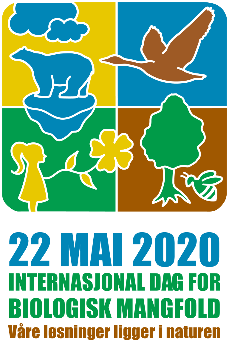 idb-2020-logo-no-vertical.png