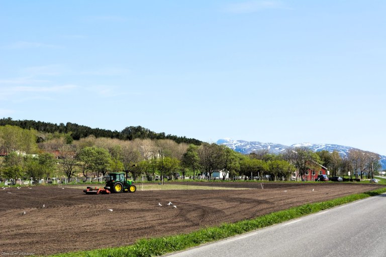 Spring harrowing at Tjøtta near Sandnessjøen. Photo: Sven Emil Hinderaker / NIBIO