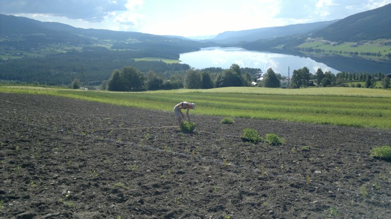 3 fra felt Løken utsikt