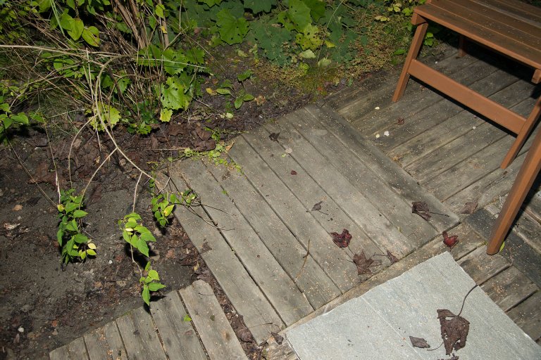 ef-20150910-200303_cropped.jpg