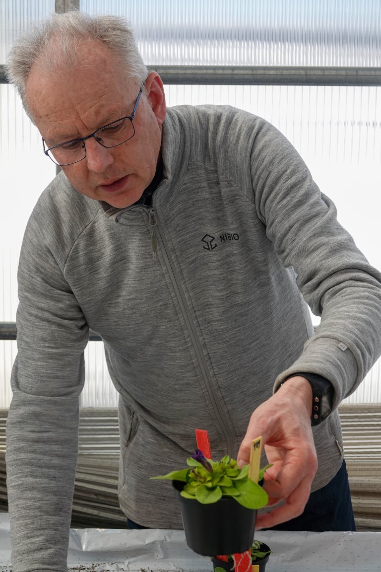 – Løsningen er å kombinere ulike avfallsstrømmer, forteller seniorforsker Trond Knapp Haraldsen (t.h.). Han har jobbet med utvikling av nye jordblandinger siden 2001. Foto: Morten Günther