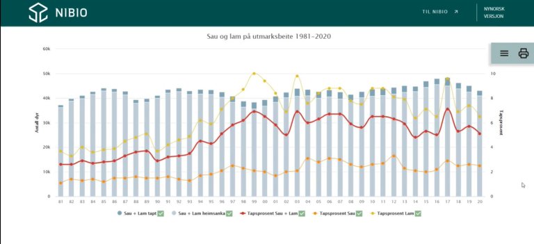 Oversikt over sauer og lam i Oppdal kommune_Noregs største sauekommune.jpg