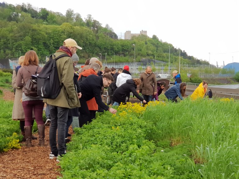 Se på, ta på og lukte på. Planter stimulerer våre sanser. Kort vei til urbane hager gir mange muligheter for undervisning og kompetansebygging nær der den urbane befolkningen bor, og har sine rekreasjonsarealer. Foto: Vibeke Hermanrud, Bjørvikaforeningen