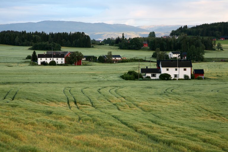 Hildrum_Inderøy_Nord-Trøndelag_Foto Oskar Puschmann_20170801-OSP-7066_