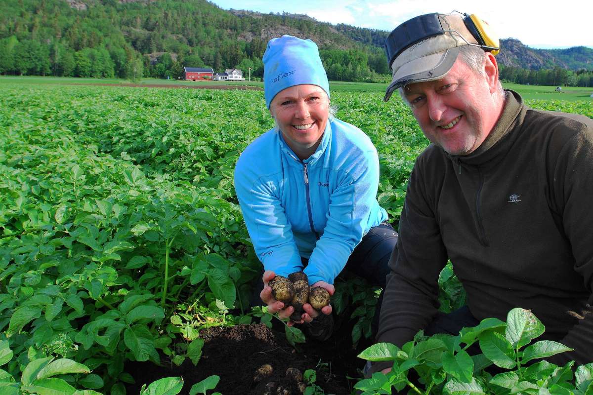 potet hovedbilde gurine og knut ove seland.foto o.hetland_cropped