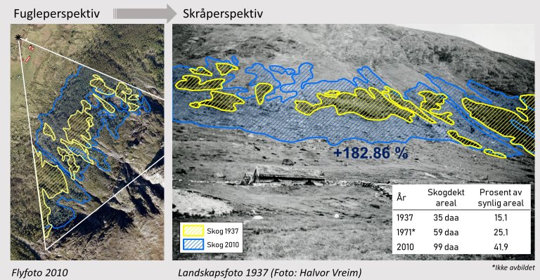 Prio1_Figur_4_Eksempel_Flysetra_Visualisering.JPG