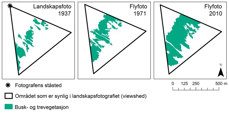 Prio2_Figur_3_Eksempel_gjengroing på Flysetra.JPG