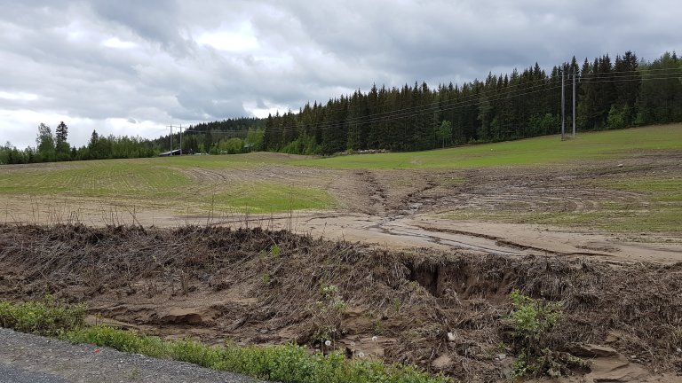 20190525_123553_Våler kommune i Hedmark_Foto Ingrid M Tenge NIBIO.jpg