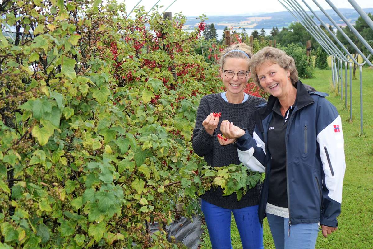 Hovedbilde Ellen Hoel Anita Sønsteby. Jon Schärer_cropped