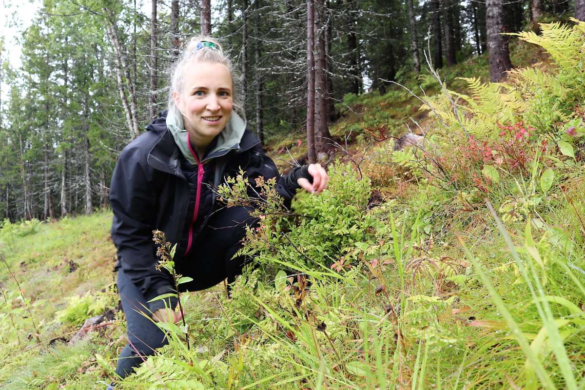 Bilde1_Anne Linn Hykkerud_Arnfinn Steindal_red