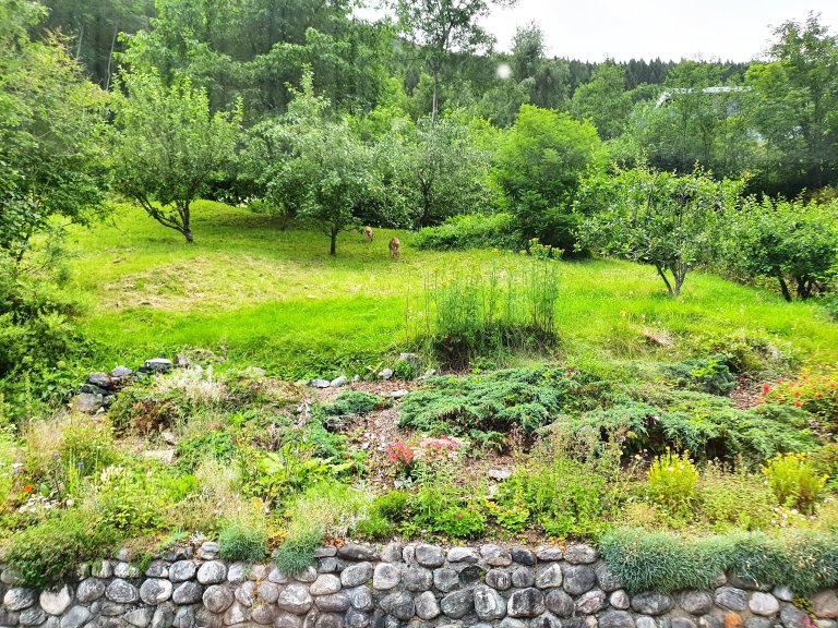 I et helhetlig perspektiv er helsen til økosystemene til planter, dyr og mennesker avhengig av hverandre. Dette er også bakgrunnen for utrykket En-Helse. Foto: Siri Elise Dybdal