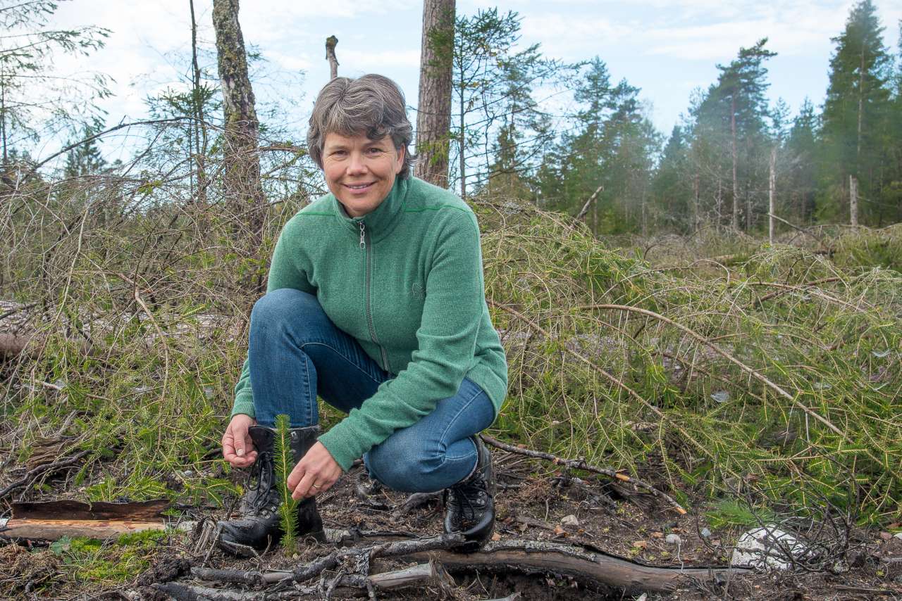 Inger Sundheim Fløistad - Foto - Erling Fløistad - NIBIO